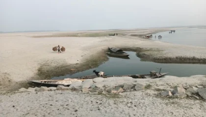 p1_teesta-kalmati-04