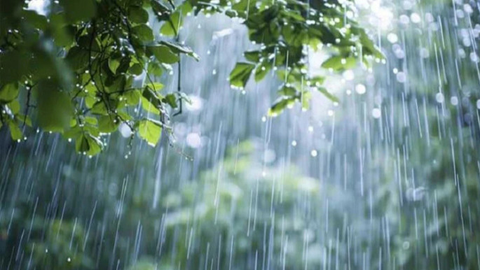 rainfall_0