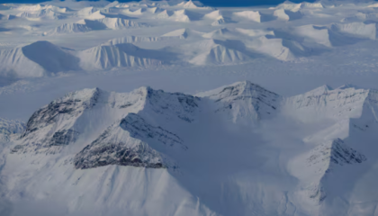 artic