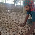 potato_farmer