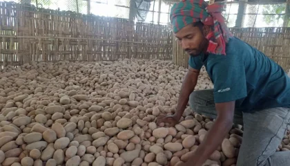 potato_farmer