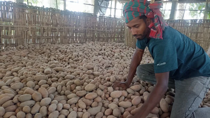 potato_farmer